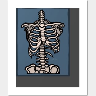 Rib Cage Posters and Art